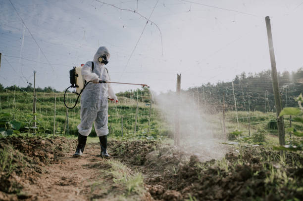 Best Pest Removal Services  in Fraser, MI