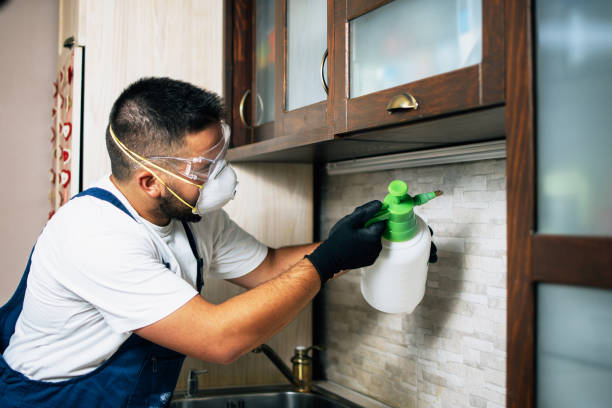 Best Insect Control  in Fraser, MI