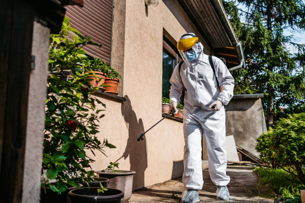 Best Mosquito Control Services  in Fraser, MI
