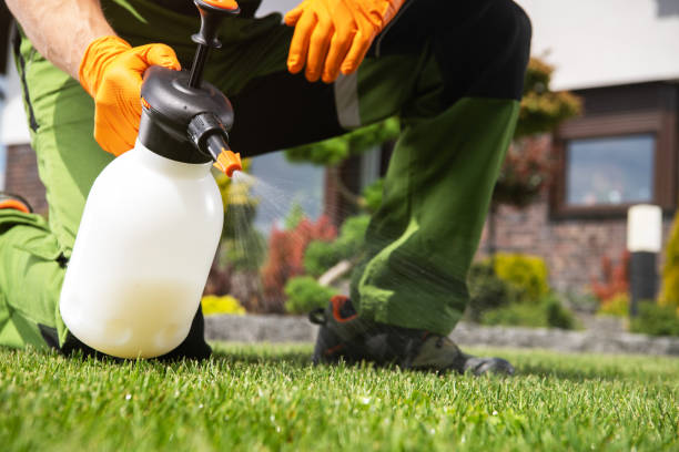 Best Cockroach Control Services  in Fraser, MI