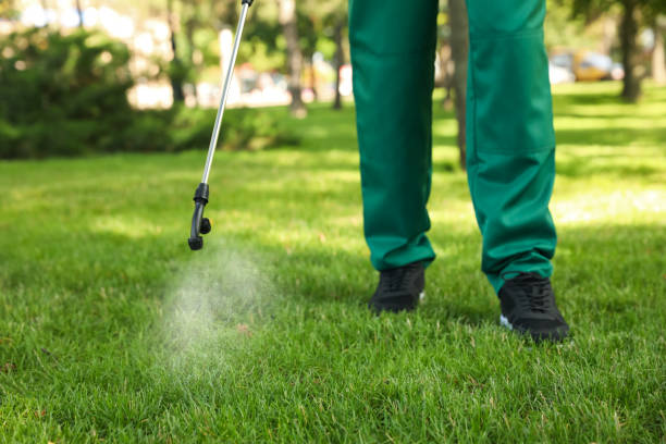 Best Emergency Pest Control  in Fraser, MI
