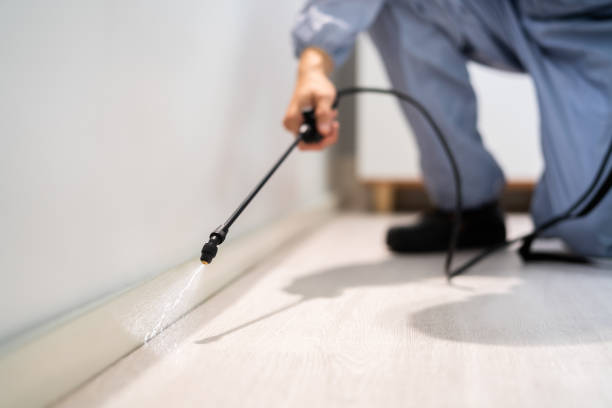 Best Best Pest Control Companies  in Fraser, MI