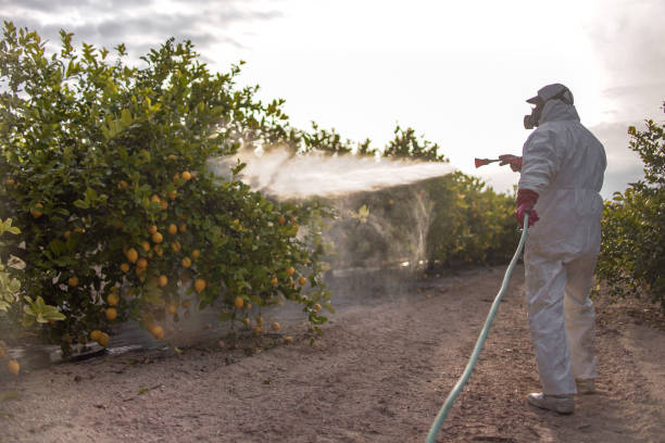 Best Ant Control Services  in Fraser, MI