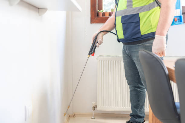 Best Termite Control Services  in Fraser, MI