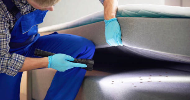 Best Pest Prevention Services  in Fraser, MI