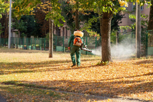 Professional Pest Control in Fraser, MI