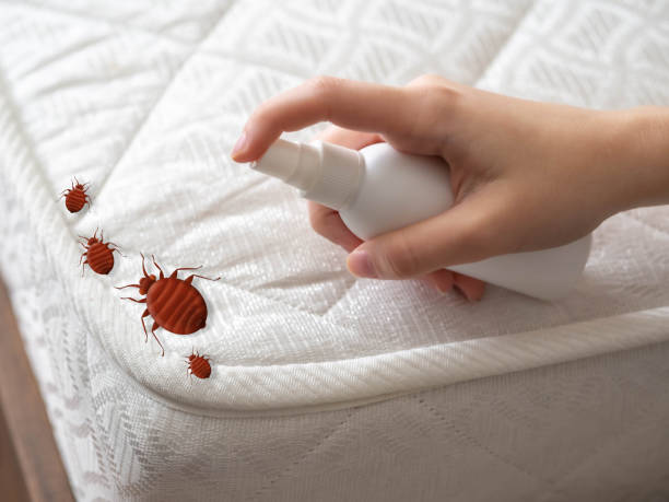 Best Pest Inspection Near Me  in Fraser, MI