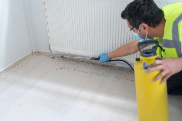 Best Pest Control for Restaurants  in Fraser, MI