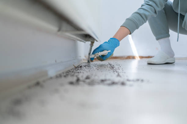 Best Affordable Pest Control Services  in Fraser, MI